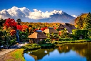 Da Tokyo: tour privato di un giorno al Monte Fuji con guida in inglese