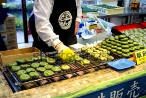 Da Tokyo: tour privato di un giorno al Monte Fuji con guida in inglese