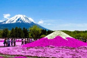 Da Tokyo: tour privato di un giorno al Monte Fuji con guida in inglese