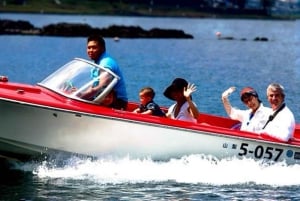 Da Tokyo: tour privato di un giorno al Monte Fuji con guida in inglese