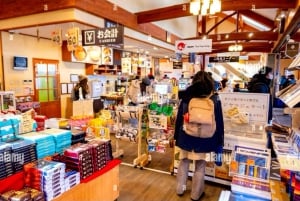 Da Tokyo: tour privato di un giorno al Monte Fuji con guida in inglese