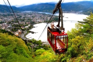 Da Tokyo: tour privato di un giorno al Monte Fuji con guida in inglese