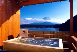 Da Tokyo: tour privato di un giorno al Monte Fuji con guida in inglese