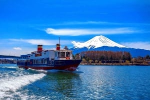 Da Tokyo: tour privato di un giorno al Monte Fuji con guida in inglese