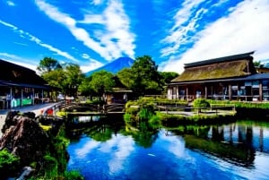 Da Tokyo: tour privato di un giorno al Monte Fuji con guida in inglese