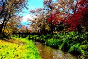 Da Tokyo: tour privato di un giorno al Monte Fuji con guida in inglese