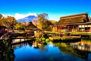 Da Tokyo: tour privato di un giorno al Monte Fuji con guida in inglese