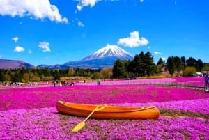 Da Tokyo: tour privato di un giorno al Monte Fuji con guida in inglese