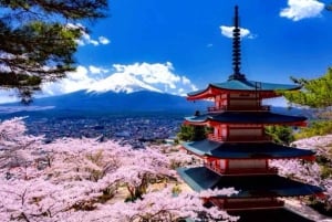 Da Tokyo: tour privato di un giorno al Monte Fuji con guida in inglese