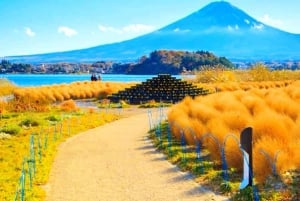 Da Tokyo: tour privato di un giorno al Monte Fuji con guida in inglese