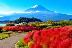 Da Tokyo: tour privato di un giorno al Monte Fuji con guida in inglese