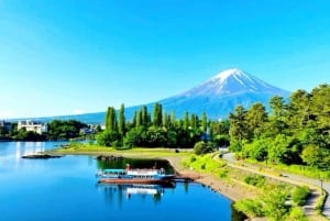 Da Tokyo: tour privato di un giorno al Monte Fuji con guida in inglese