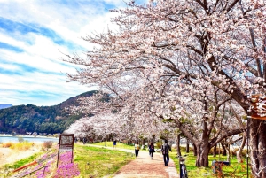 Da Tokyo: tour privato di un giorno al Monte Fuji con guida in inglese