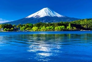 Da Tokyo: tour privato di un giorno al Monte Fuji con guida in inglese