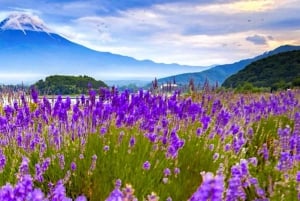 Da Tokyo: tour privato di un giorno al Monte Fuji con guida in inglese