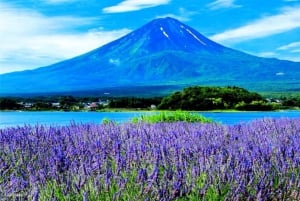 Da Tokyo: tour privato di un giorno al Monte Fuji con guida in inglese