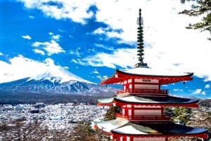 Da Tokyo: tour privato di un giorno al Monte Fuji con guida in inglese