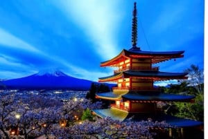 Da Tokyo: tour privato di un giorno al Monte Fuji con guida in inglese