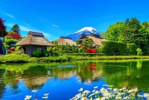 Da Tokyo: tour privato di un giorno al Monte Fuji con guida in inglese