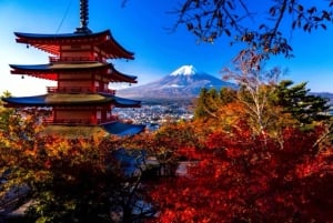 Da Tokyo: tour privato di un giorno al Monte Fuji con guida in inglese