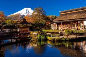 Da Tokyo: tour privato di un giorno al Monte Fuji con guida in inglese