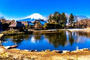 Da Tokyo: tour privato di un giorno al Monte Fuji con guida in inglese