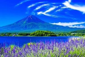 Da Tokyo: tour privato di un giorno al Monte Fuji con guida in inglese
