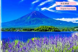 Da Tokyo: tour privato di un giorno al Monte Fuji con guida in inglese