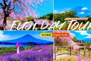 Da Tokyo: tour privato di un giorno al Monte Fuji con guida in inglese