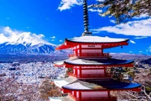 Da Tokyo: tour privato di un giorno al Monte Fuji con guida in inglese