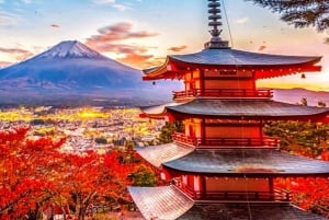 Da Tokyo: tour privato di un giorno al Monte Fuji con guida in inglese