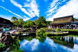 Da Tokyo: tour privato di un giorno al Monte Fuji con guida in inglese
