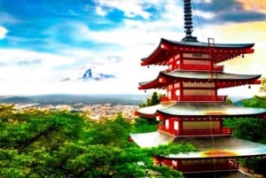 Da Tokyo: tour privato di un giorno al Monte Fuji con guida in inglese