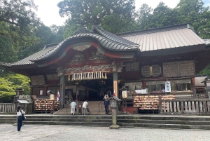 Von Tokio: Private Tagestour zum Fuji mit englischsprachigem Guide