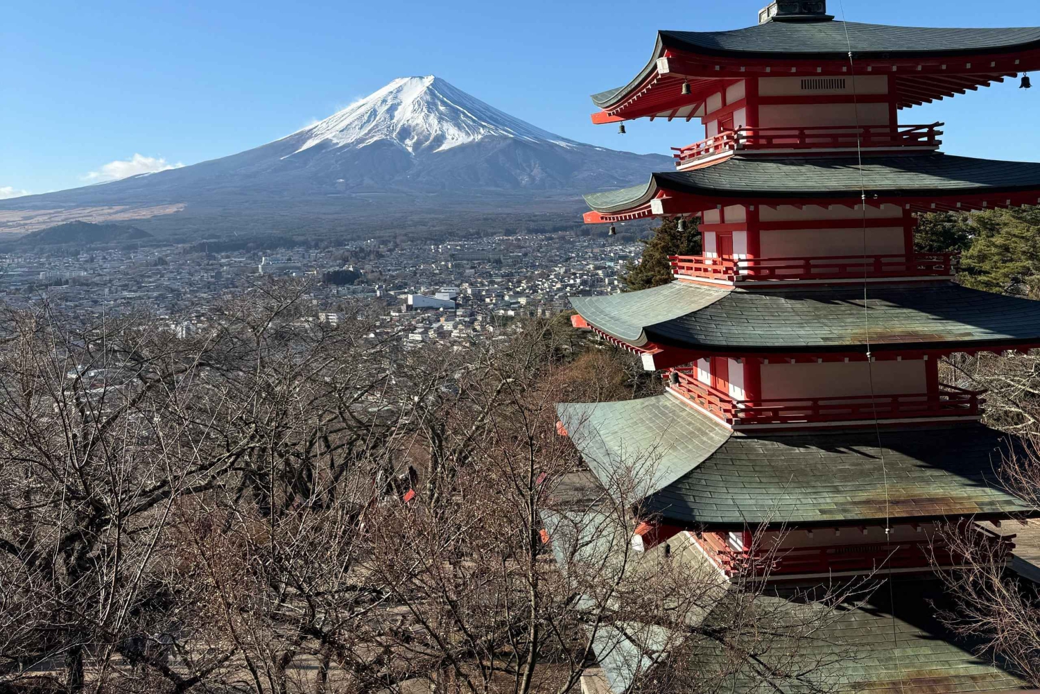 Desde Tokio: Tour privado de un día al monte Fuji con guía en inglés