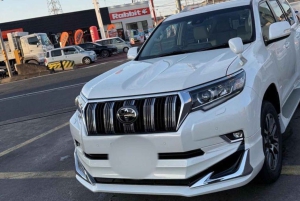 Desde Tokio: Tour privado de un día al monte Fuji con guía en inglés