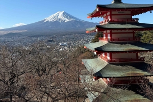 Desde Tokio: Tour privado de un día al monte Fuji con guía en inglés