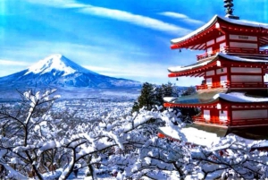 Desde Tokio: Tour privado de un día al monte Fuji con guía en inglés