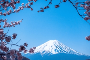 Desde Tokio: Tour privado de un día al monte Fuji con guía en inglés