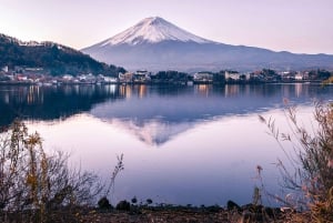 Tour privado de día completo al monte Fuji desde Tokio (personalizable)