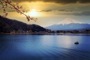 Tour privado de día completo al monte Fuji desde Tokio (personalizable)