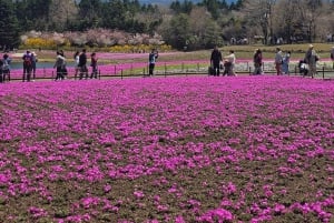 Tour privado de día completo al monte Fuji desde Tokio (personalizable)