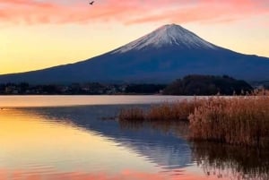 Tour privado de día completo al monte Fuji desde Tokio (personalizable)