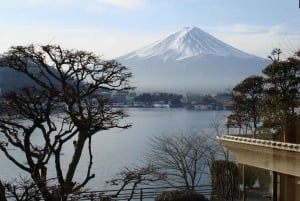 Tour privado de día completo al monte Fuji desde Tokio (personalizable)
