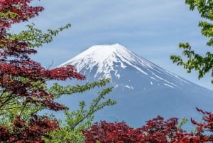 Tour privado de día completo al monte Fuji desde Tokio (personalizable)