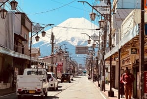 Tour privado de día completo al monte Fuji desde Tokio (personalizable)