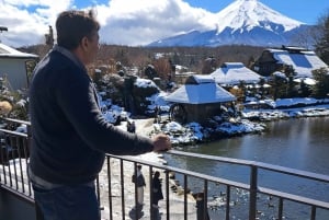 Koko päivän yksityinen kierros Fujille Tokiosta (mukautettavissa)