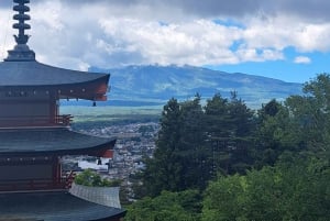 Koko päivän yksityinen kierros Fujille Tokiosta (mukautettavissa)