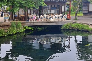 Koko päivän yksityinen kierros Fujille Tokiosta (mukautettavissa)