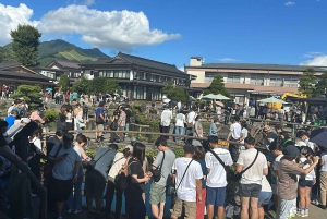 Koko päivän yksityinen kierros Fujille Tokiosta (mukautettavissa)